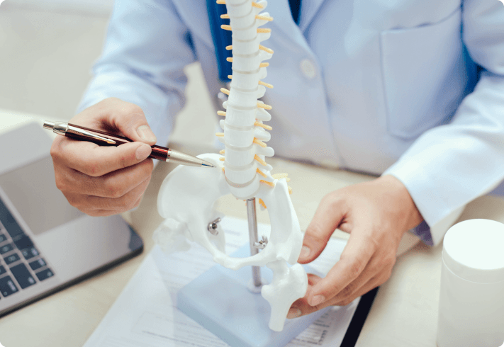 Medical professional explaining spine anatomy
