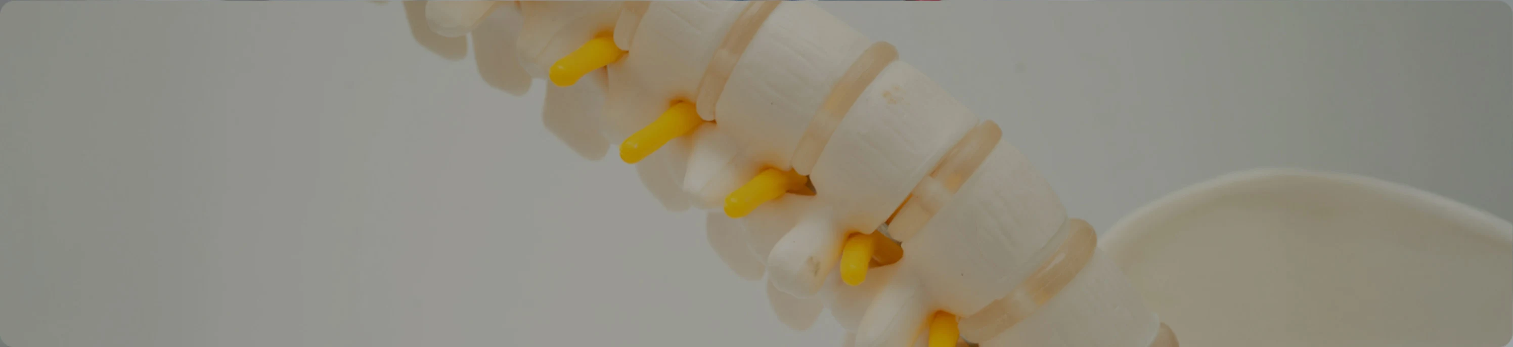 Spine / Disc Annuloplasty in Singapore