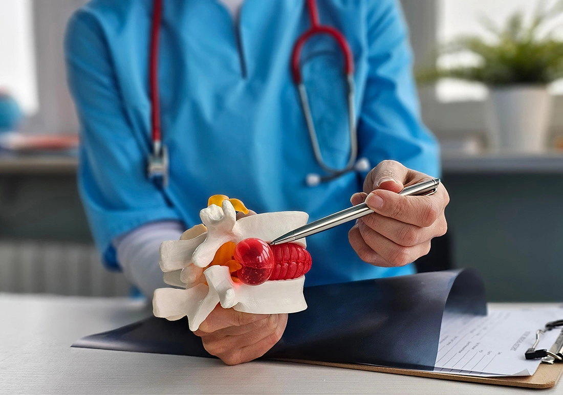 Pain specialist explaining treatment using an anatomical spine model, showing vertebrae and spinal discs to a patient.