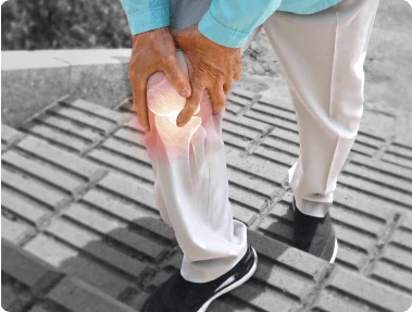 Knee joint anatomy illustration showing common pain points