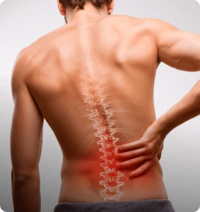 Lower Back <br class='hidden md:block'>Pain