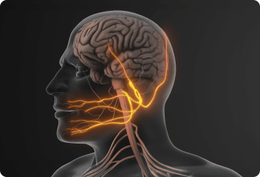 Illustration of trigeminal-neuralgia nerve anatomy